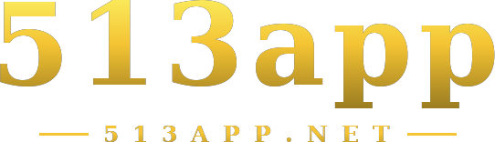 513app logo